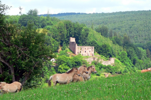 Hotel Zur Krone Gasthof